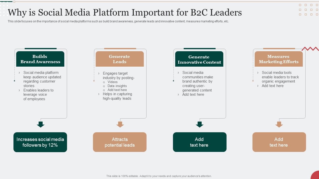 Digital_Marketing_Techniques_To_Improve_Lead_Why_Is_Social_Media_Platform_Important_For_B2c_Leaders_Information_PDF_Slide_1.jpg