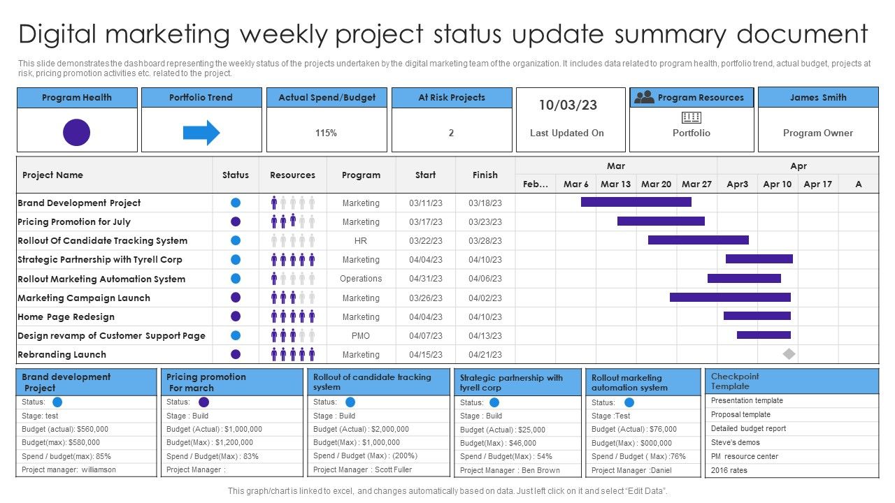 Digital_Marketing_Weekly_Project_Status_Update_Summary_Document_Formats_PDF_Slide_1.jpg