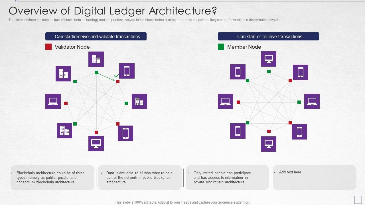 Digitized_Record_Book_Technology_Overview_Of_Digital_Ledger_Architecture_Portrait_PDF_Slide_1.jpg