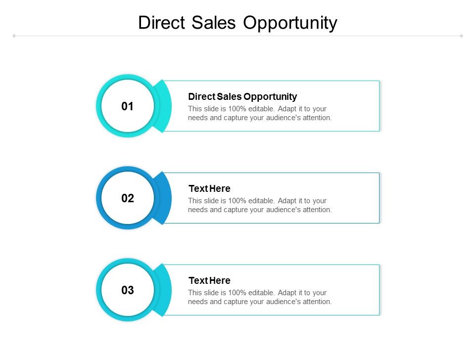 Direct_Sales_Opportunity_Ppt_PowerPoint_Presentation_Summary_Display_Cpb_Slide_1.jpg
