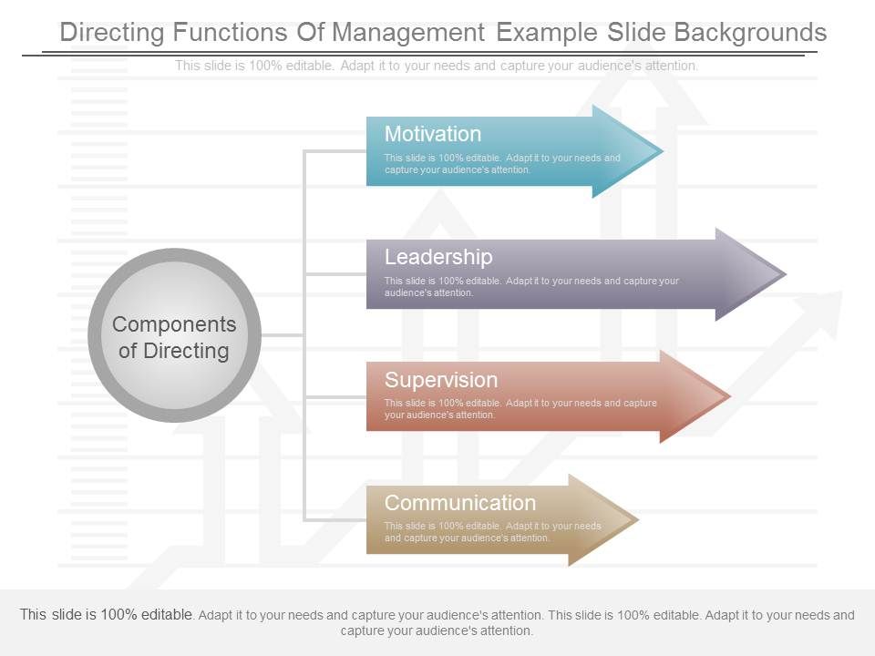 Directing_Functions_Of_Management_Example_Slide_Backgrounds_1.jpg