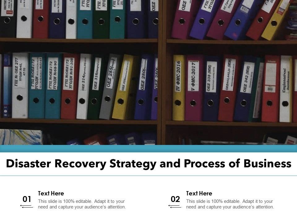 Disaster_Recovery_Strategy_And_Process_Of_Business_Ppt_PowerPoint_Presentation_Gallery_Information_PDF_Slide_1.jpg