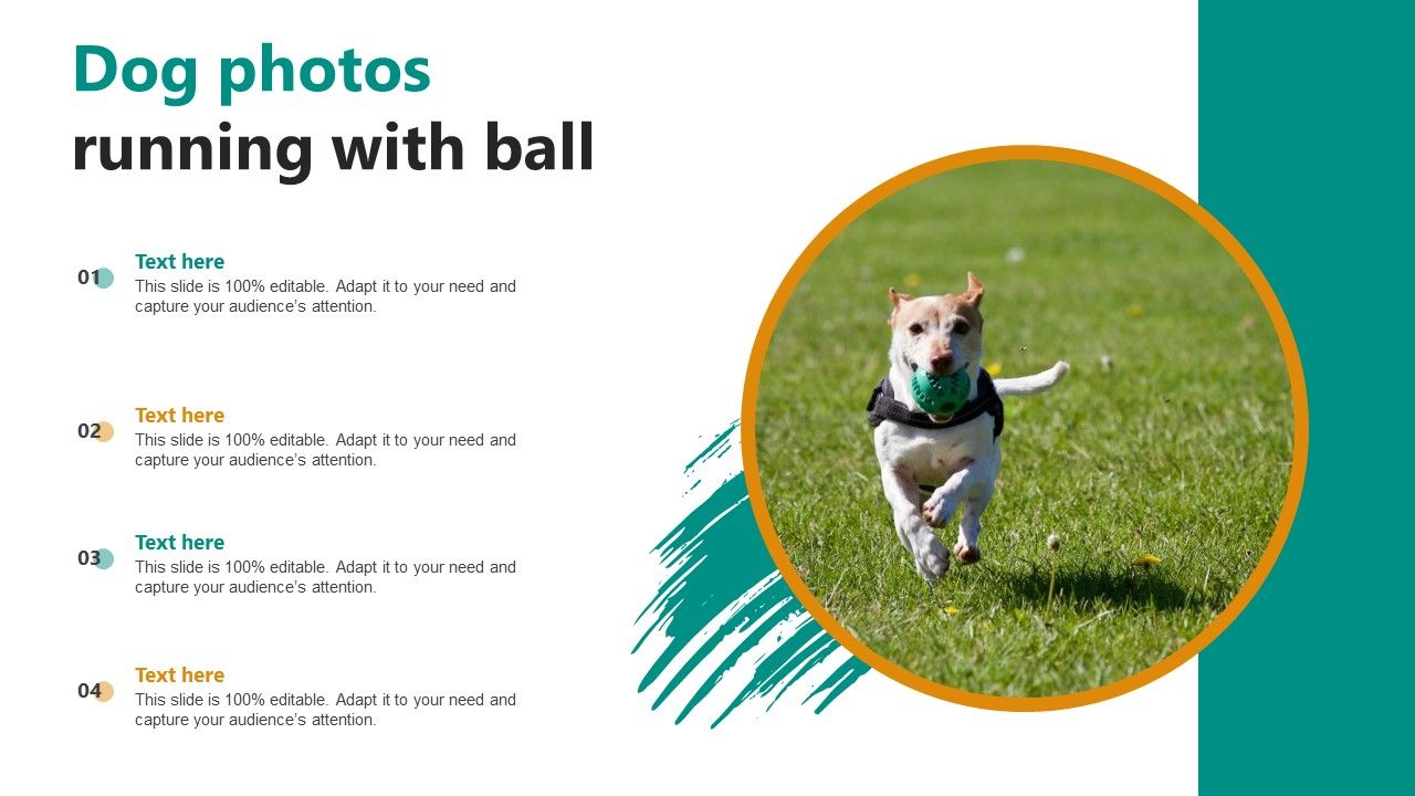 Dog_Photos_Running_With_Ball_Ppt_PowerPoint_Presentation_File_Format_PDF_Slide_1.jpg