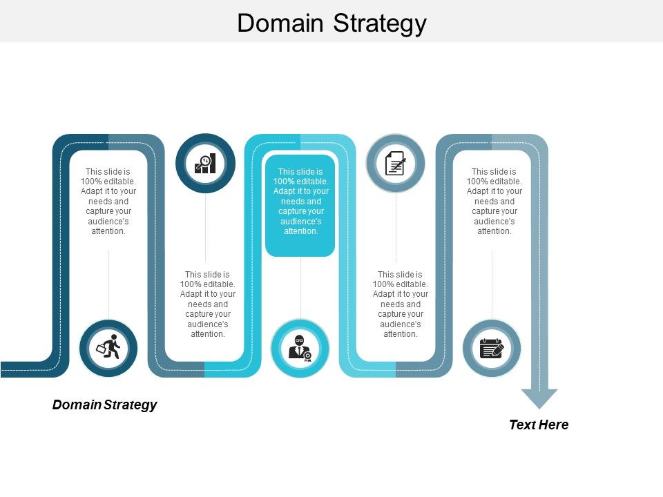Domain_Strategy_Ppt_PowerPoint_Presentation_Portfolio_Professional_Cpb_Slide_1.jpg