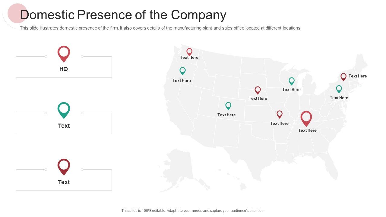 Domestic_Presence_Of_The_Company_Ppt_PowerPoint_Presentation_Outline_Microsoft_PDF_Slide_1.jpg