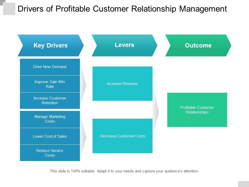 Drivers_Of_Profitable_Customer_Relationship_Management_Ppt_PowerPoint_Presentation_Inspiration_Example_Topics_Slide_1.jpg