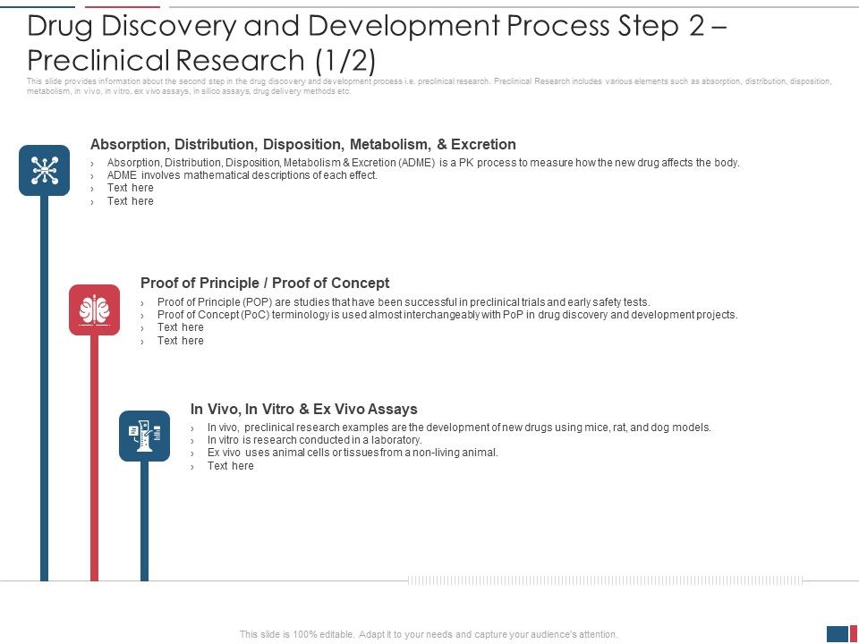 Drug_Discovery_And_Development_Process_Step_2_Preclinical_Research_Concept_Microsoft_PDF_Slide_1.jpg