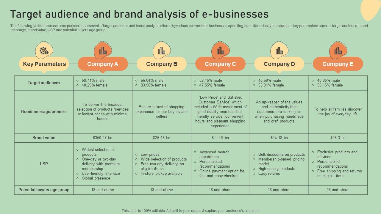 E_Commerce_Business_Development_Plan_Target_Audience_And_Brand_Analysis_Of_E_Businesses_Template_PDF_Slide_1.jpg