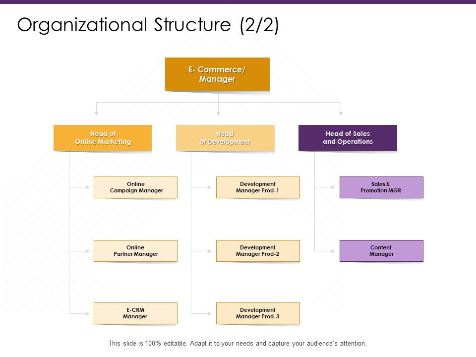 E_Commerce_Organizational_Structure_Development_Ppt_PowerPoint_Presentation_Model_Slide_Download_PDF_Slide_1.jpg