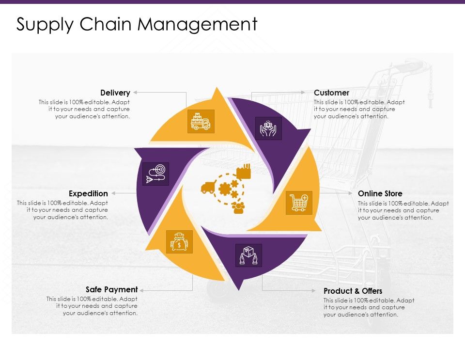 E_Commerce_Supply_Chain_Management_Ppt_PowerPoint_Presentation_Show_Information_PDF_Slide_1.jpg