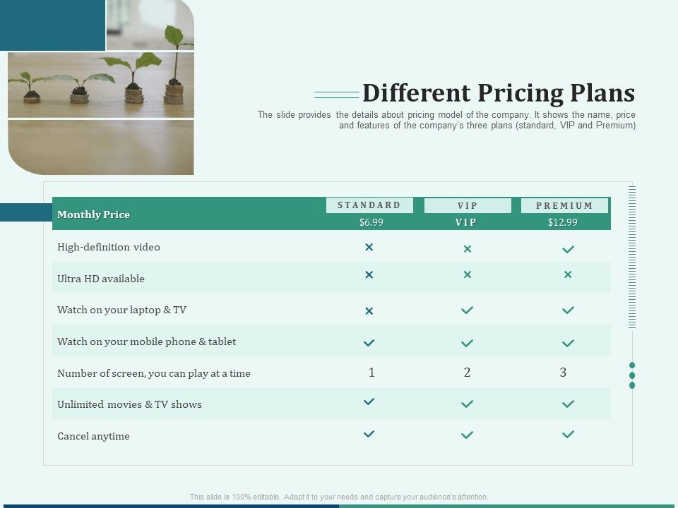 Early_Stage_Funding_Different_Pricing_Plans_Ppt_Professional_Design_Templates_PDF_Slide_1.jpg