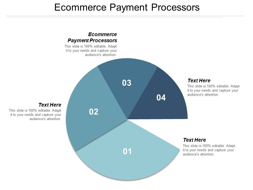Ecommerce_Payment_Processors_Ppt_PowerPoint_Presentation_Layouts_Example_File_Slide_1.jpg