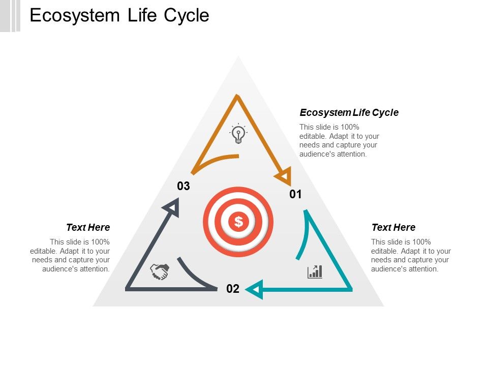 Ecosystem_Life_Cycle_Ppt_PowerPoint_Presentation_Professional_Example_Introduction_Cpb_Slide_1.jpg