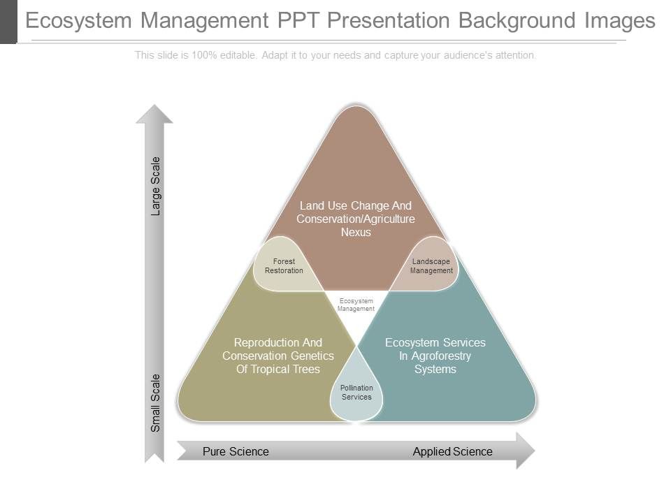 Ecosystem_Management_Ppt_Presentation_Background_Images_1.jpg