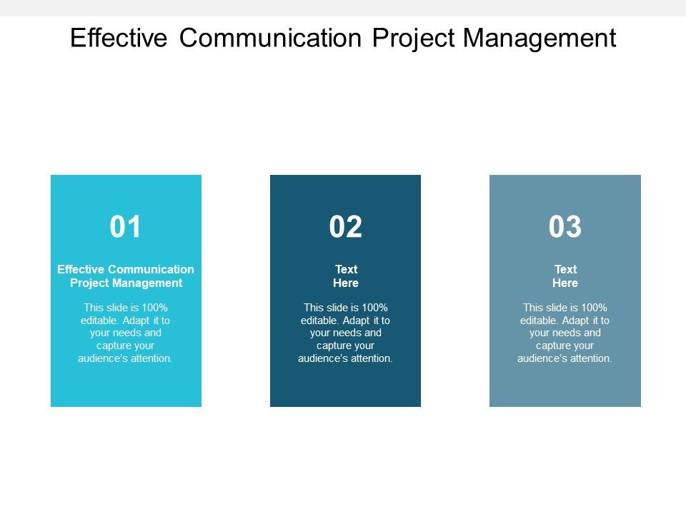Effective_Communication_Project_Management_Ppt_PowerPoint_Presentation_Gallery_Vector_Slide_1.jpg