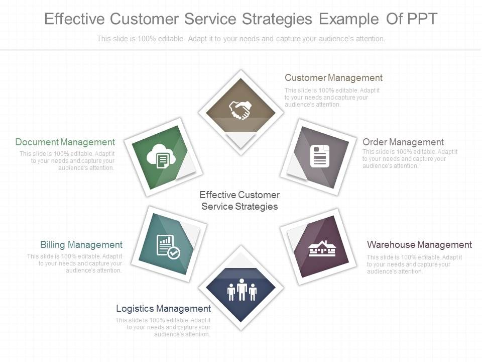 Effective_Customer_Service_Strategies_Example_Of_Ppt_1.jpg