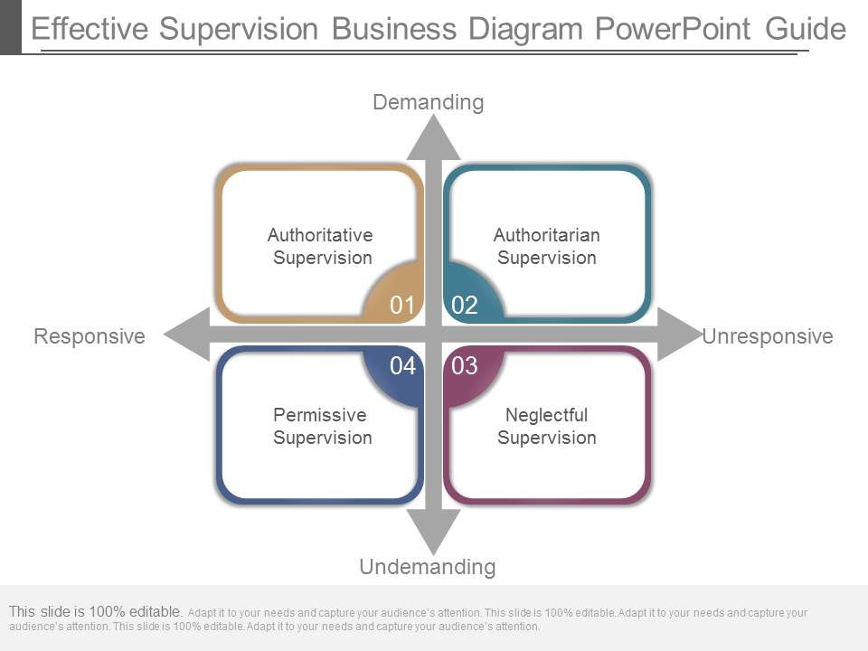 Effective_Supervision_Business_Diagram_Powerpoint_Guide_1.jpg