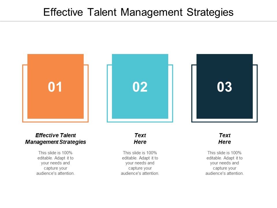 Effective_Talent_Management_Strategies_Ppt_PowerPoint_Presentation_Styles_Template_Cpb_Slide_1.jpg