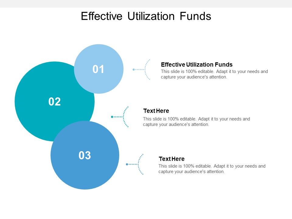 Effective_Utilization_Funds_Ppt_PowerPoint_Presentation_Layouts_Elements_Cpb_Slide_1.jpg
