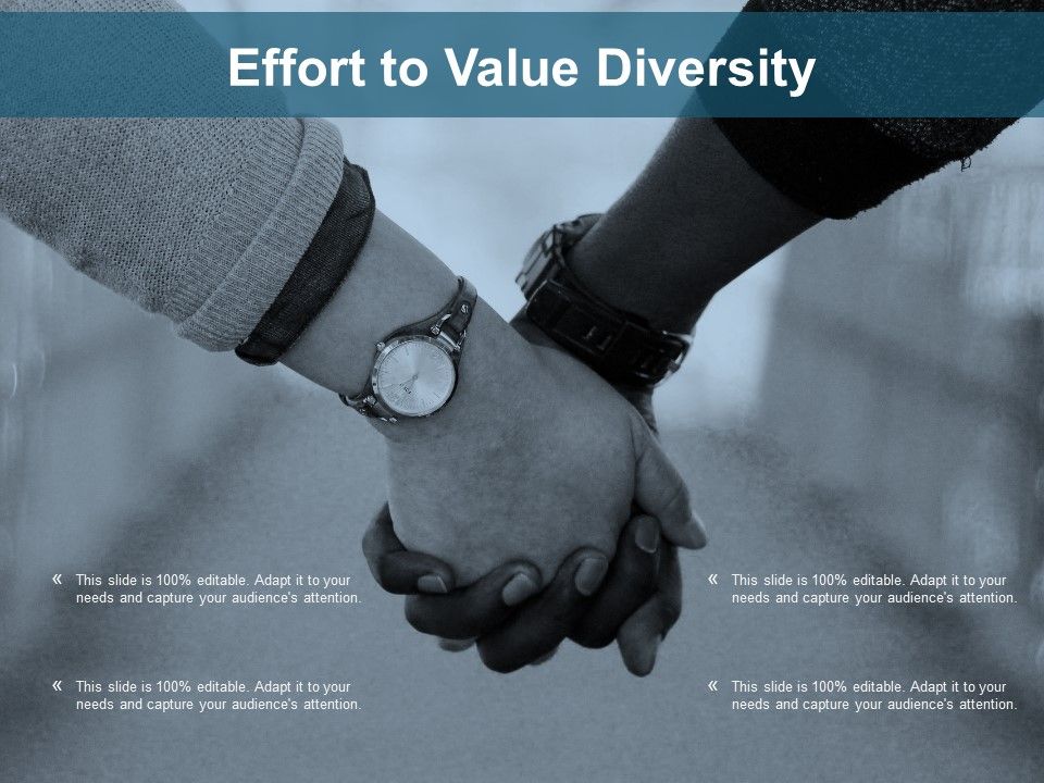 Effort_To_Value_Diversity_Ppt_PowerPoint_Presentation_Inspiration_Styles_Slide_1.jpg