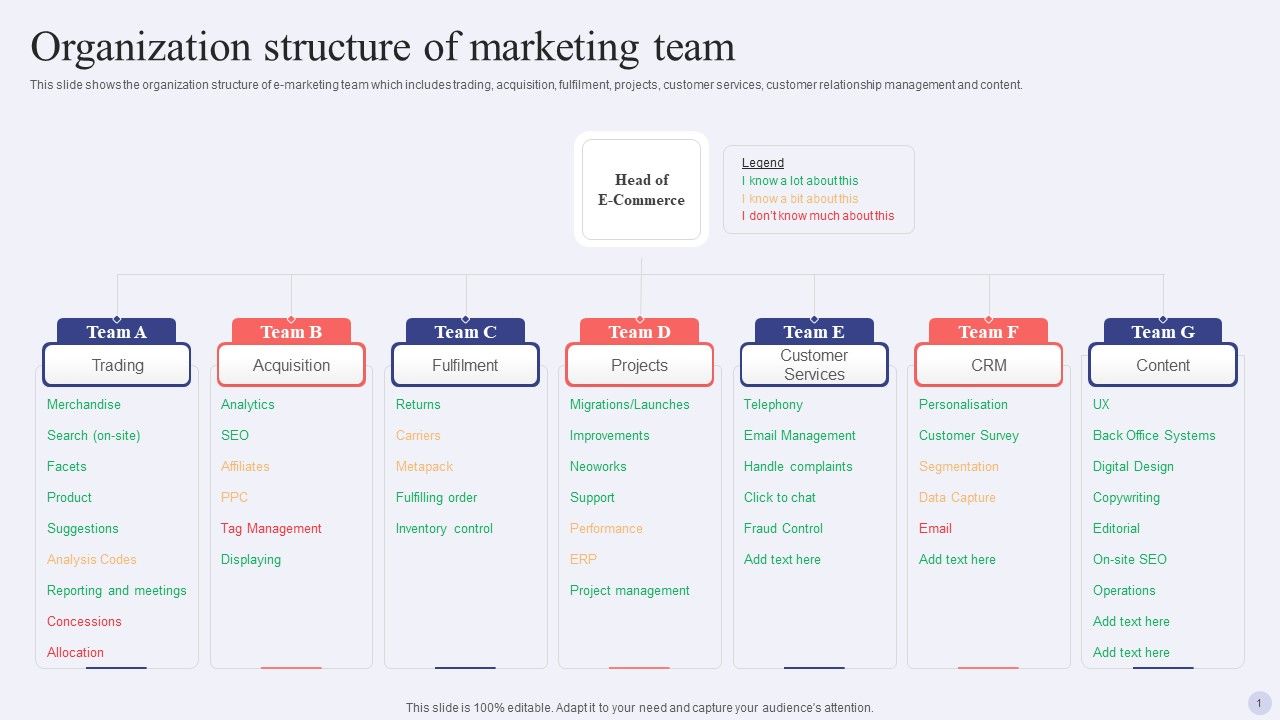 Electronic_Commerce_Systems_Organization_Structure_Of_Marketing_Team_Summary_PDF_Slide_1.jpg