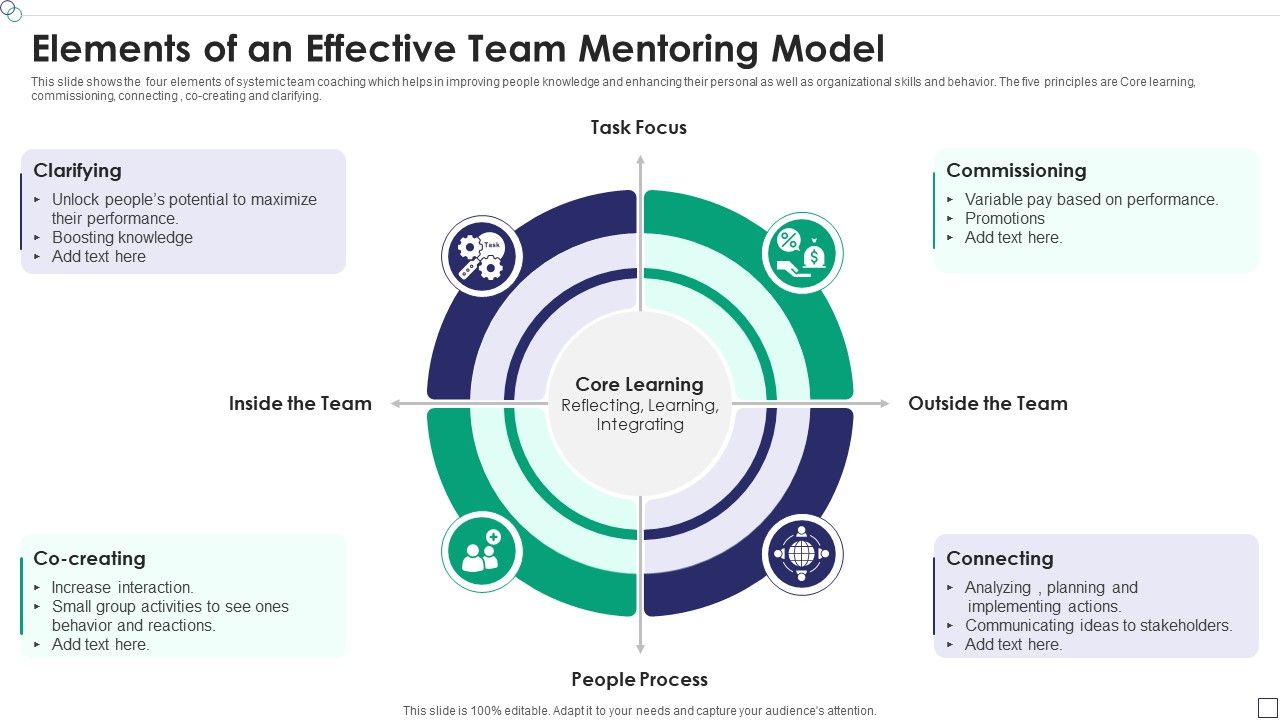 Elements_Of_An_Effective_Team_Mentoring_Model_Summary_PDF_Slide_1.jpg