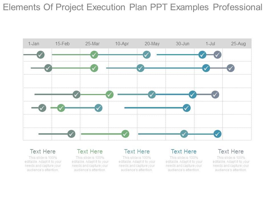 Elements_Of_Project_Execution_Plan_Ppt_Examples_Professional_1.jpg