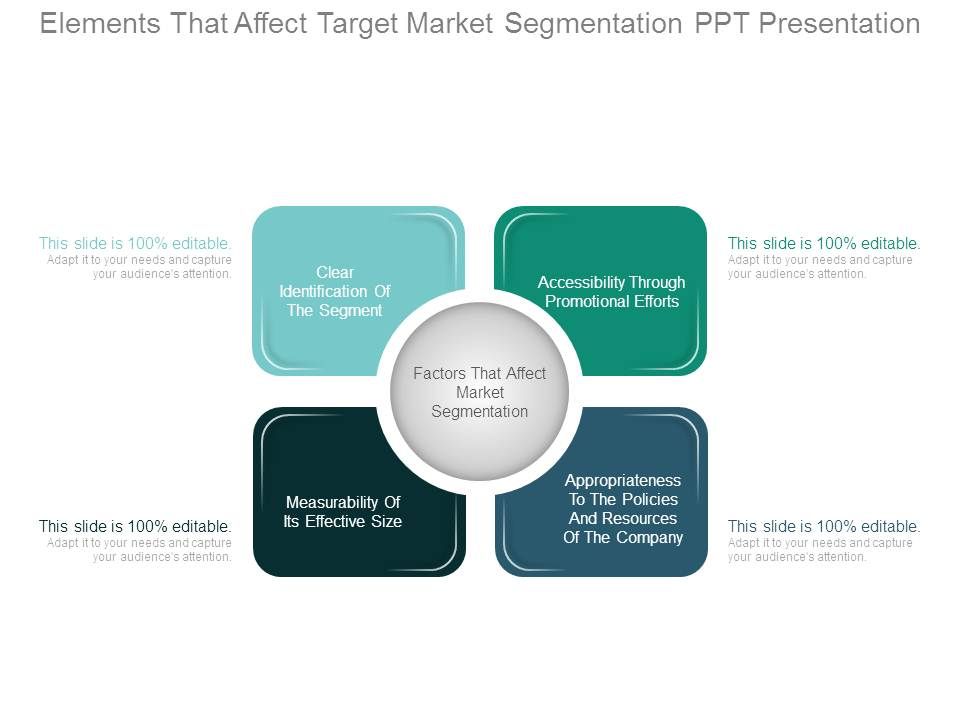 Elements_That_Affect_Target_Market_Segmentation_Ppt_Presentation_1.jpg