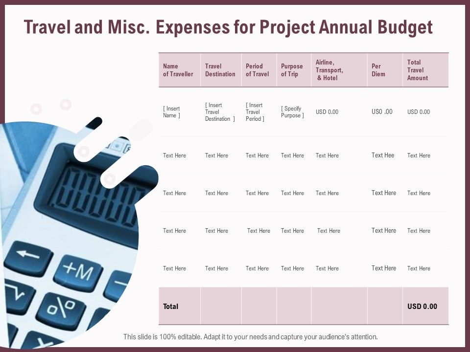 Elements_Travel_And_Misc_Expenses_For_Project_Annual_Budget_Ppt_Portfolio_Summary_PDF_Slide_1.jpg