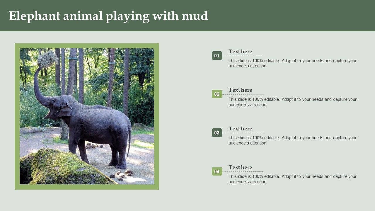 Elephant_Animal_Playing_With_Mud_Ppt_PowerPoint_Presentation_Outline_Format_PDF_Slide_1.jpg