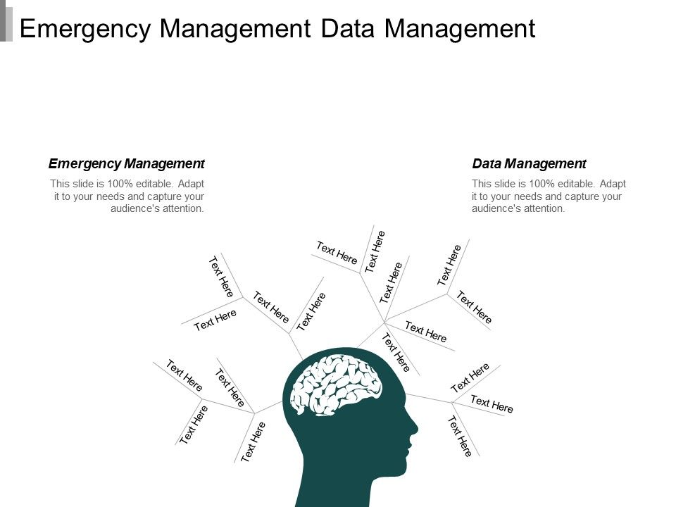 Emergency_Management_Data_Management_Management_Facility_Planning_Ppt_PowerPoint_Presentation_Infographics_Graphics_Tutorials_Slide_1.jpg