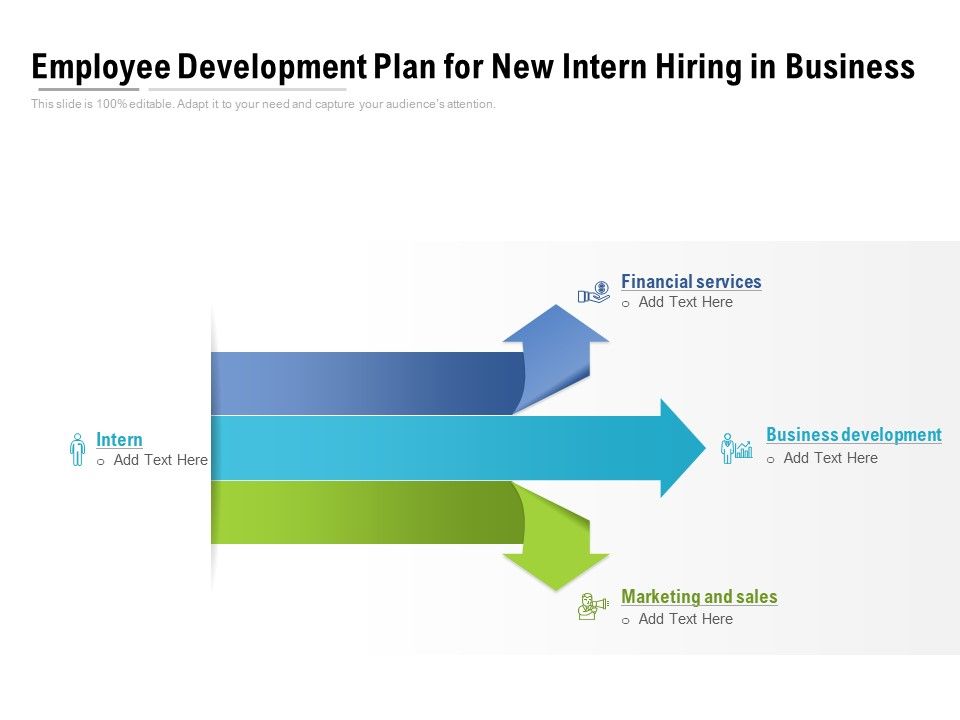 Employee_Development_Plan_For_New_Intern_Hiring_In_Business_Ppt_PowerPoint_Presentation_File_Styles_PDF_Slide_1.jpg