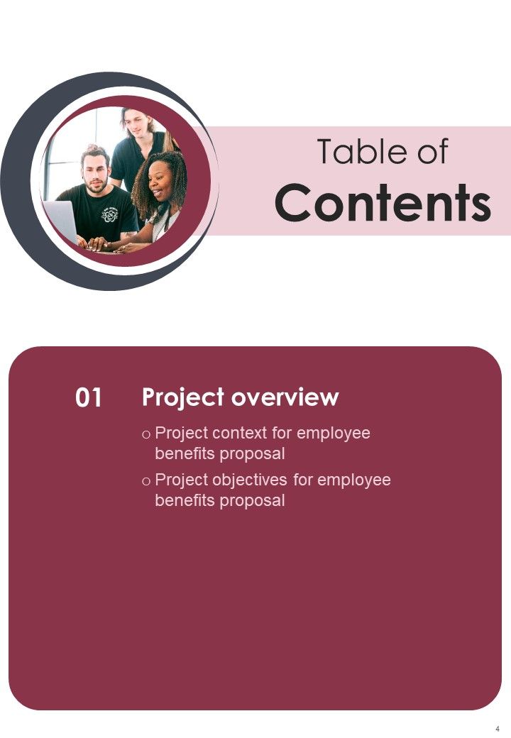 Employee Perk Administration Proposal Example Document Report Doc Pdf Ppt