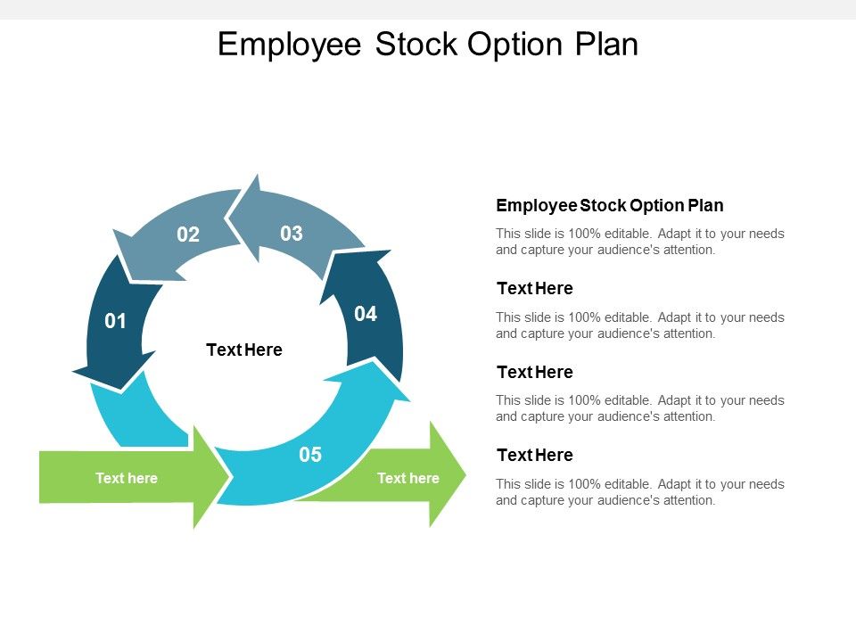 Employee_Stock_Option_Plan_Ppt_PowerPoint_Presentation_Model_Inspiration_Cpb_Slide_1.jpg