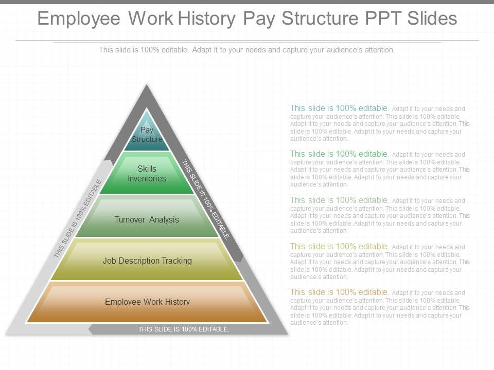 Employee_Work_History_Pay_Structure_Ppt_Slides_1.jpg