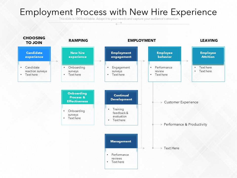 Employment_Process_With_New_Hire_Experience_Ppt_PowerPoint_Presentation_Gallery_File_Formats_PDF_Slide_1.jpg