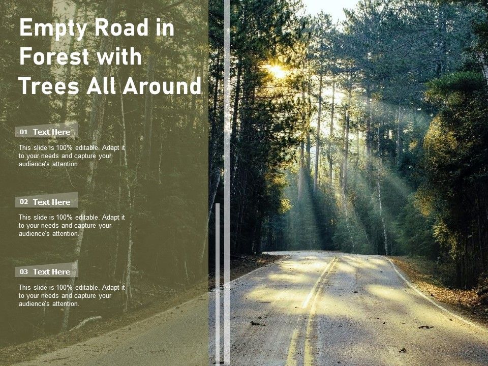Empty_Road_In_Forest_With_Trees_All_Around_Ppt_PowerPoint_Presentation_Portfolio_Rules_PDF_Slide_1.jpg