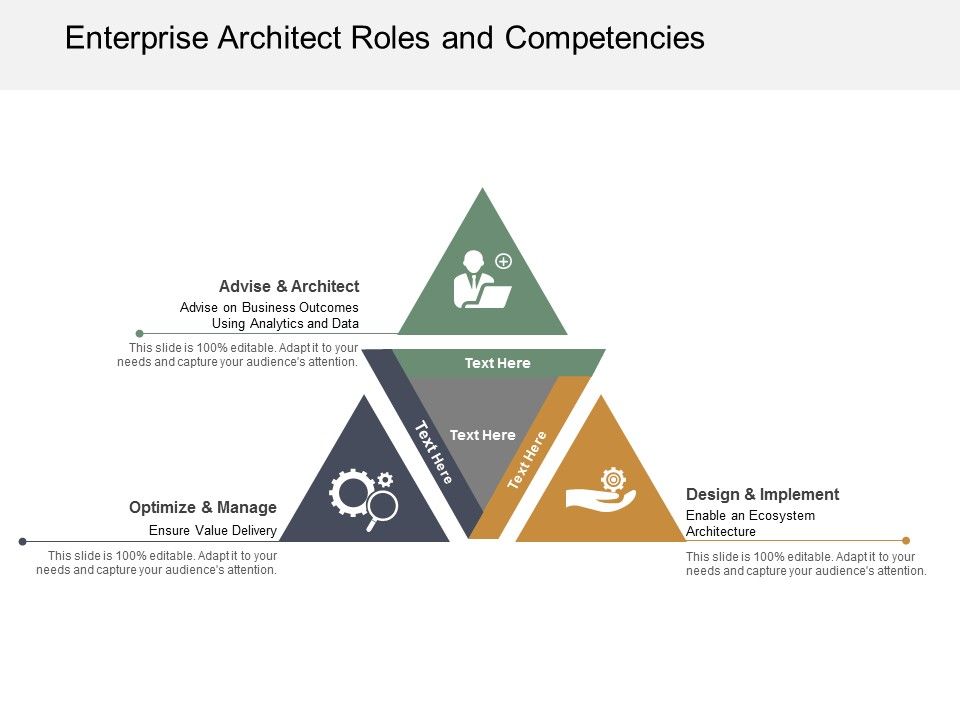 Enterprise_Architect_Roles_And_Competencies_Ppt_PowerPoint_Presentation_Icon_Background_Image_Slide_1.jpg