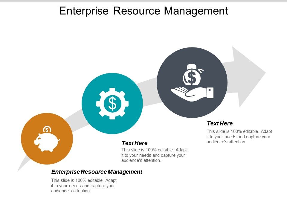 Enterprise_Resource_Management_Ppt_PowerPoint_Presentation_Ideas_Infographic_Template_Cpb_Slide_1.jpg