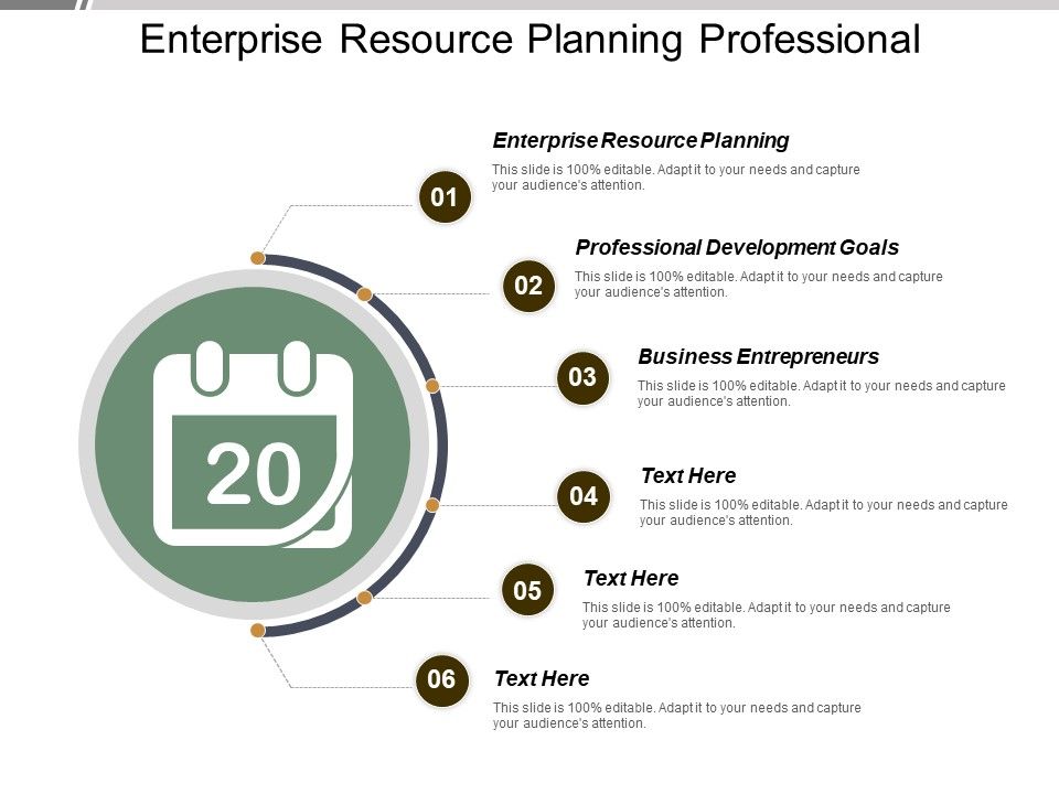 Enterprise_Resource_Planning_Professional_Development_Goals_Business_Entrepreneurs_Ppt_PowerPoint_Presentation_Inspiration_Styles_Slide_1.jpg