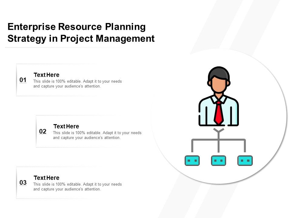 Enterprise_Resource_Planning_Strategy_In_Project_Management_Ppt_PowerPoint_Presentation_Portfolio_Gallery_PDF_Slide_1.jpg