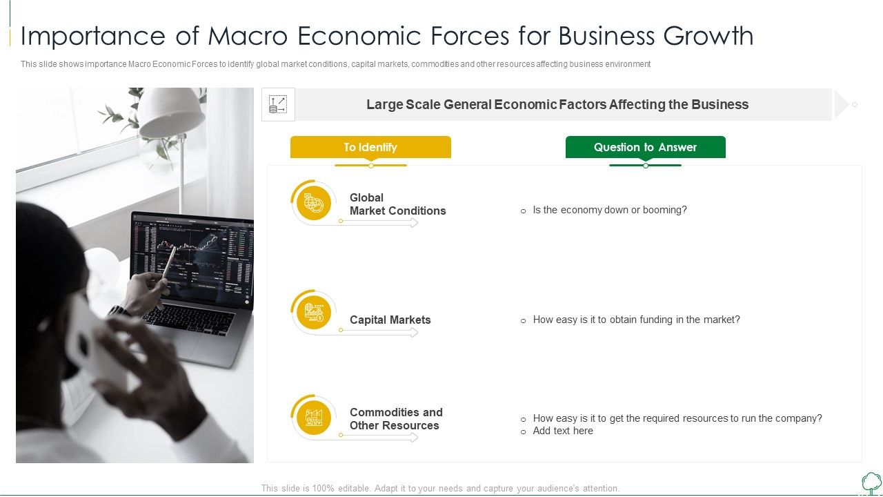 Environmental_Examination_Tools_And_Approaches_Importance_Of_Macro_Economic_Portrait_PDF_Slide_1.jpg