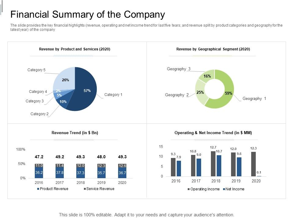 Equity_Crowdfunding_Pitch_Deck_Financial_Summary_Of_The_Company_Ppt_Layouts_Examples_PDF_Slide_1.jpg
