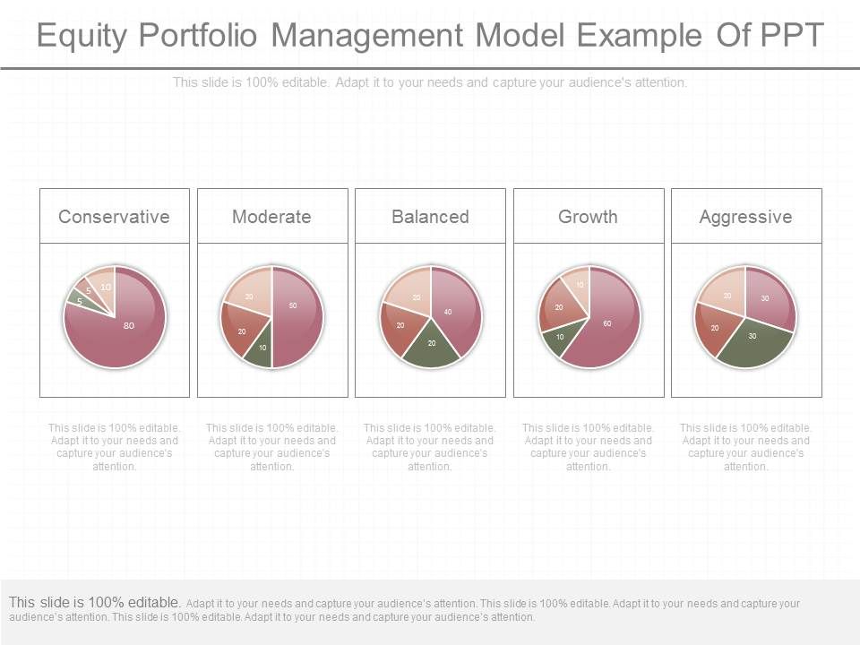 Equity_Portfolio_Management_Model_Example_Of_Ppt_1.jpg