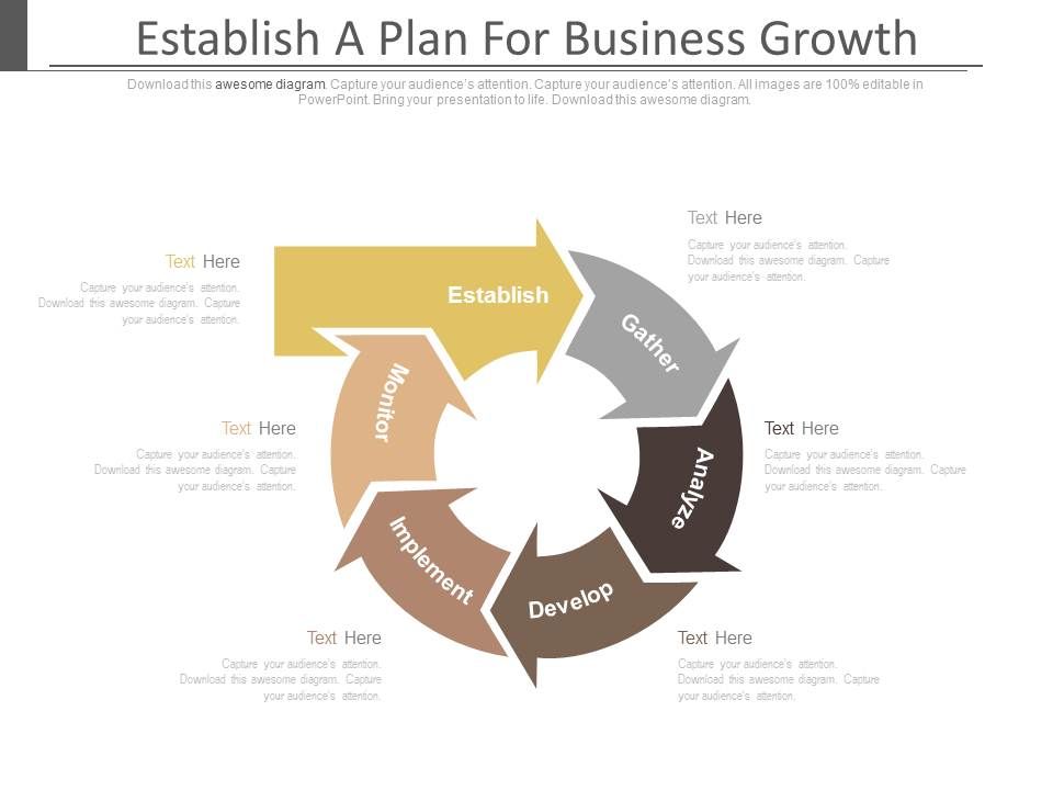 Establish_A_Plan_For_Business_Growth_Ppt_Slides_1.jpg