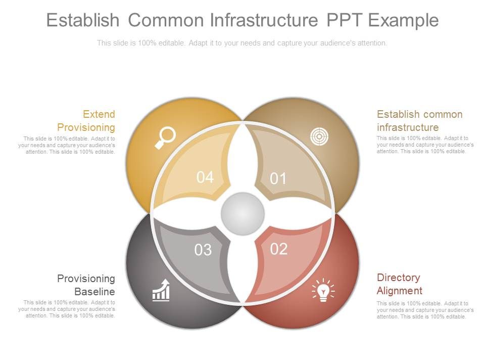 Establish_Common_Infrastructure_Ppt_Example_1.jpg