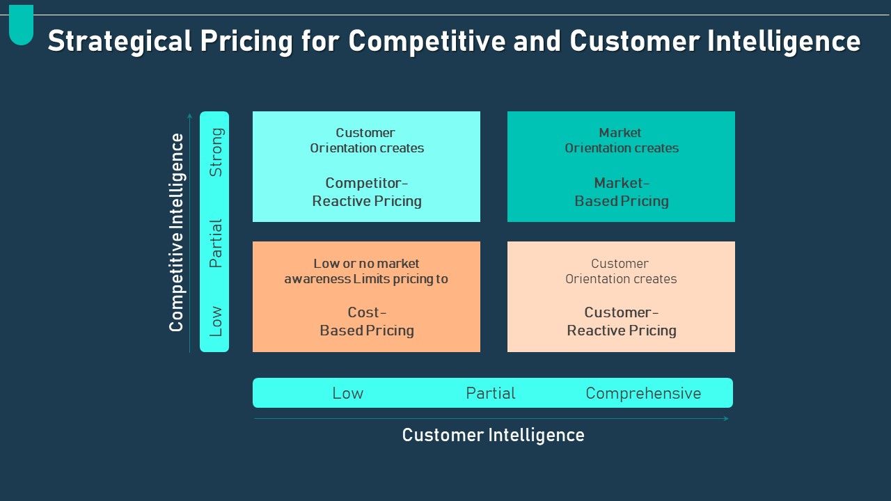 Examining_Price_Optimization_Organization_Strategical_Pricing_For_Competitive_Ppt_Gallery_Layout_Ideas_PDF_Slide_1.jpg