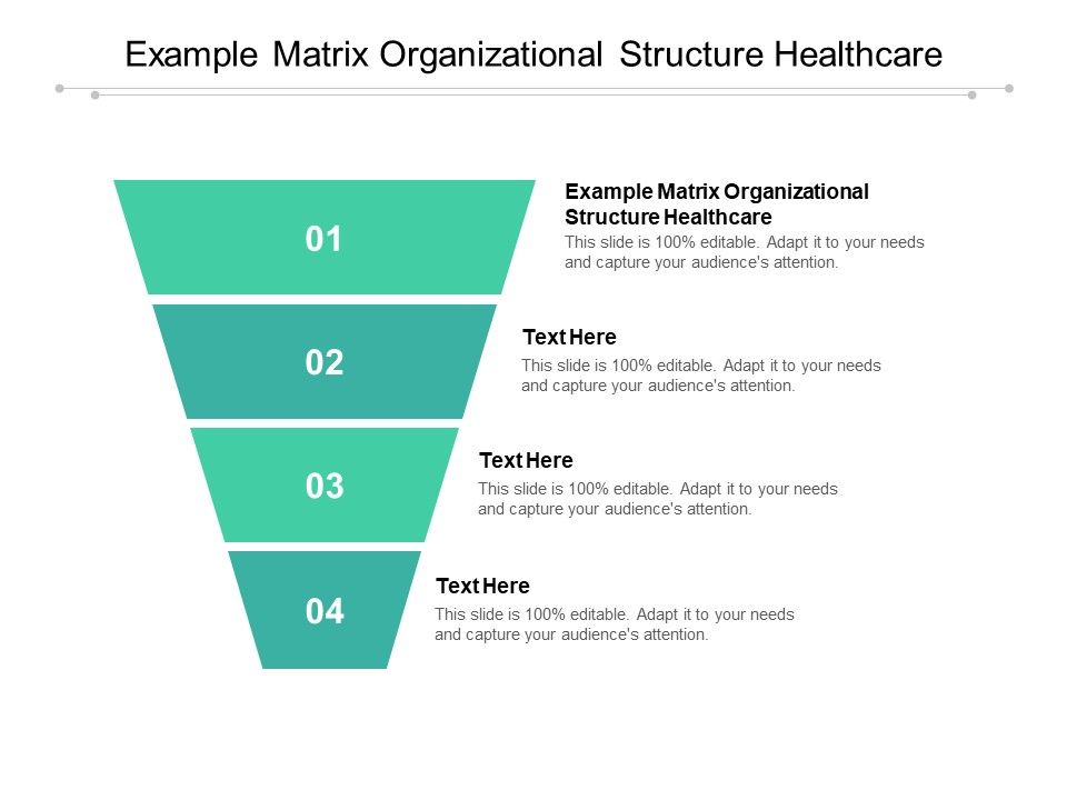 Example_Matrix_Organizational_Structure_Healthcare_Ppt_PowerPoint_Presentation_Pictures_Designs_Download_Cpb_Pdf_Slide_1.jpg