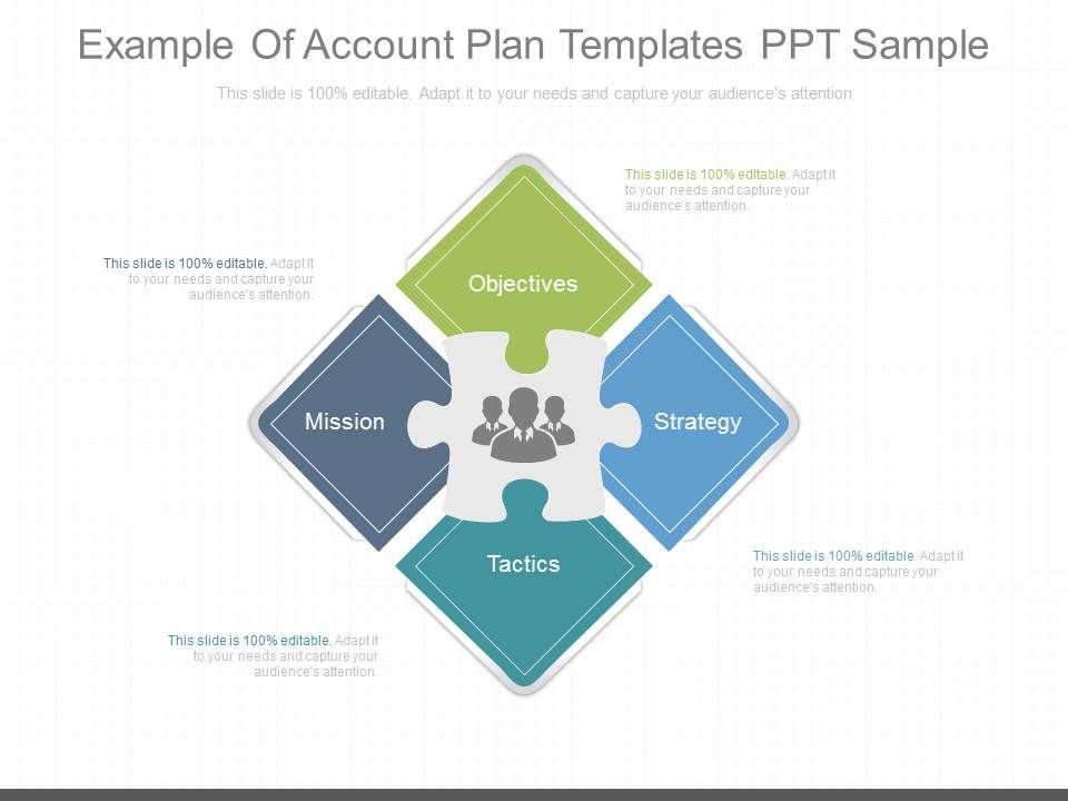 Example_Of_Account_Plan_Templates_Ppt_Sample_1.jpg