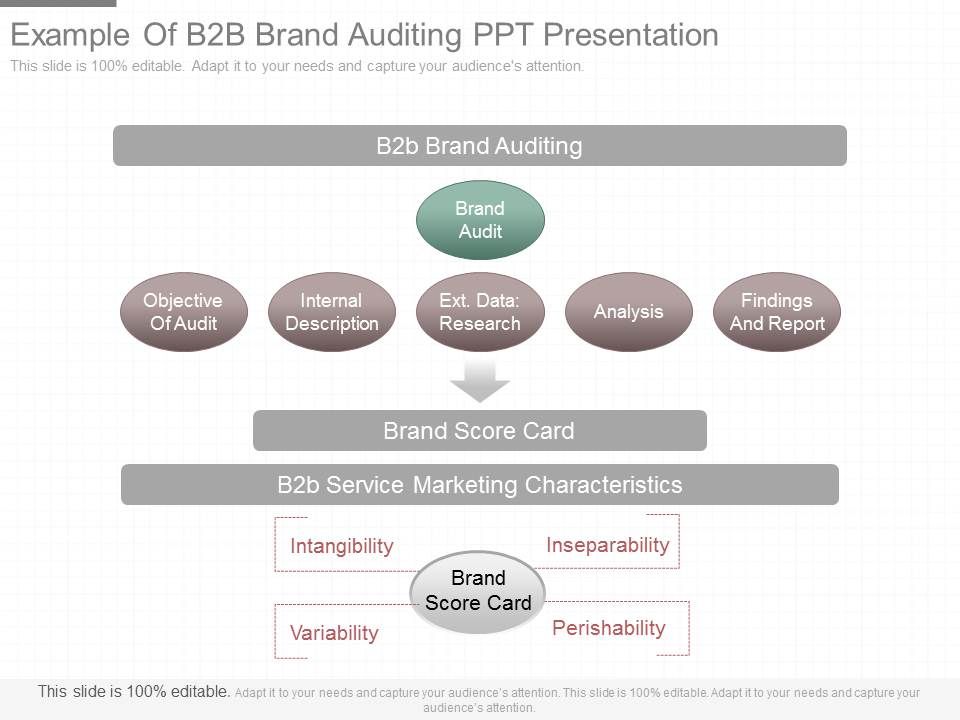 Example_Of_B2b_Brand_Auditing_Ppt_Presentation_1.jpg
